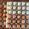 Broiler eggs 4 تخم نطفه دار مرغ گوشتی